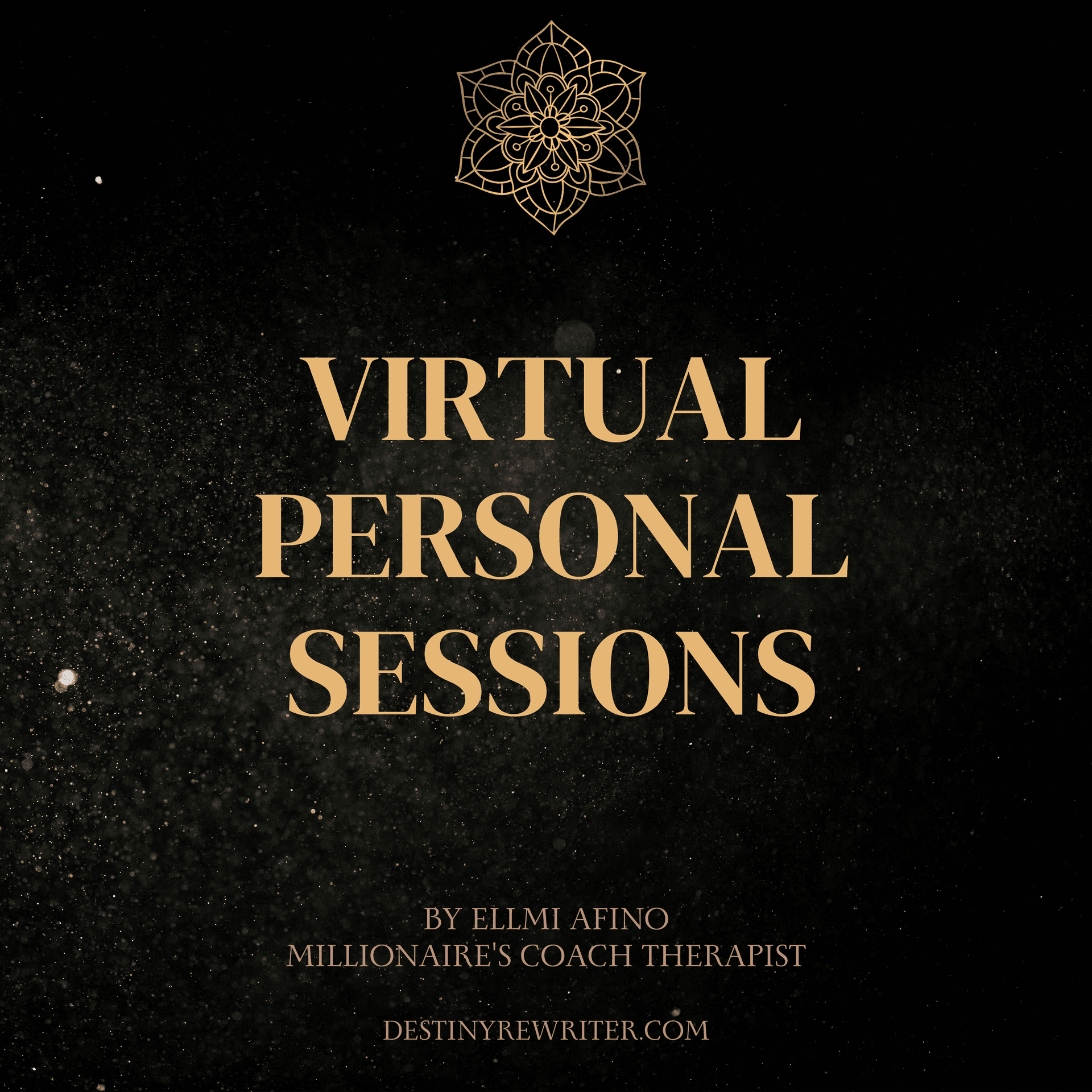 In-Person Virtual Sessions